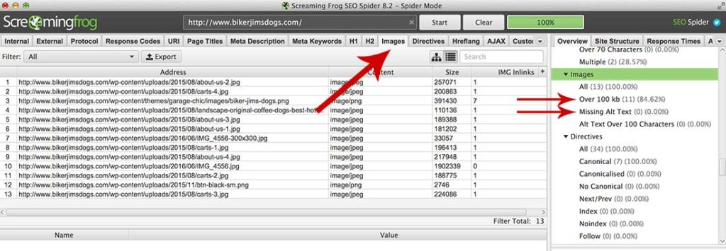 image information from screaming frog seo audit